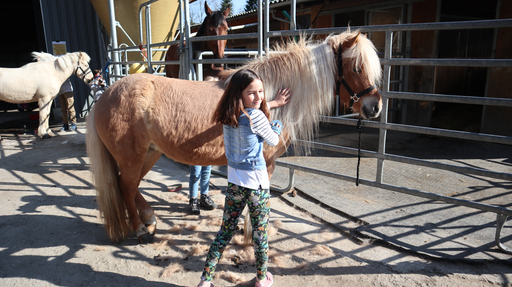 Reiten wie die Indianer SA