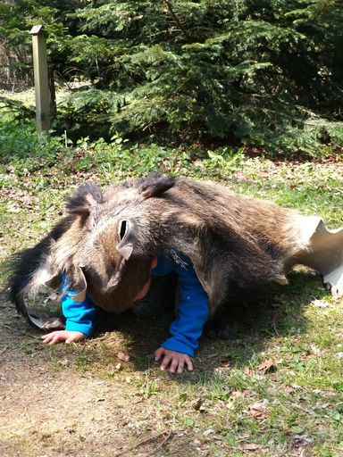 Im Wald beim Jäger