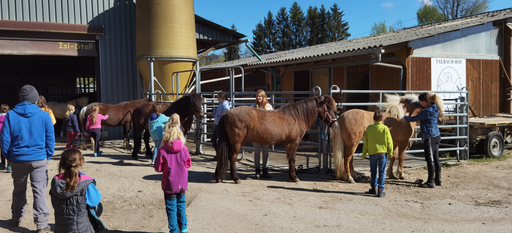 Reiten wie die Indianer DI