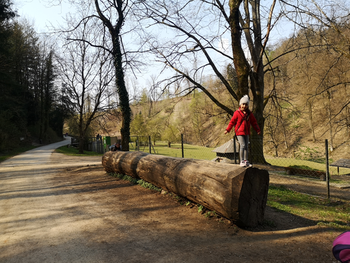 Tierpark Roggenhausen