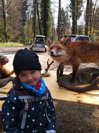 Im Wald beim Jäger