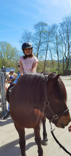 Reiten wie die Indianer DI