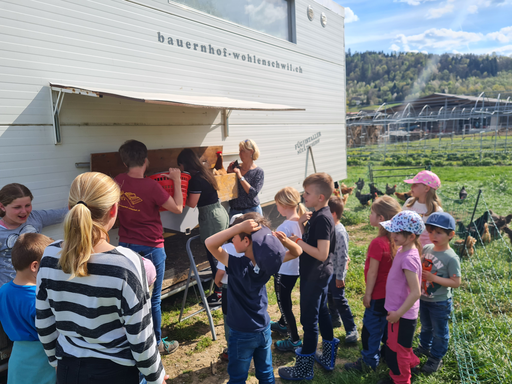 Zu Besuch auf dem Nüeltschehof