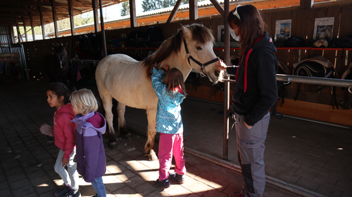 Reiten wie die Indianer SA