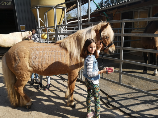 Reiten wie die Indianer SA