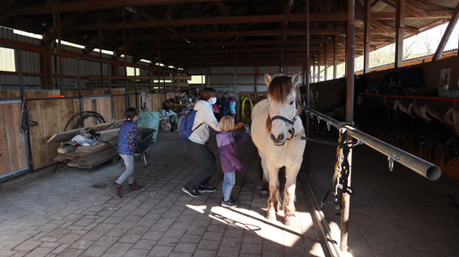 Reiten wie die Indianer SA