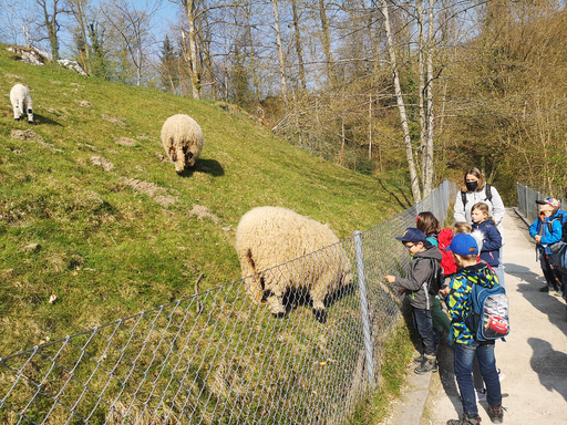 Tierpark Roggenhausen