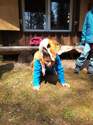 Im Wald beim Jäger