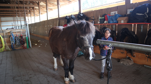 Reiten wie die Indianer SA