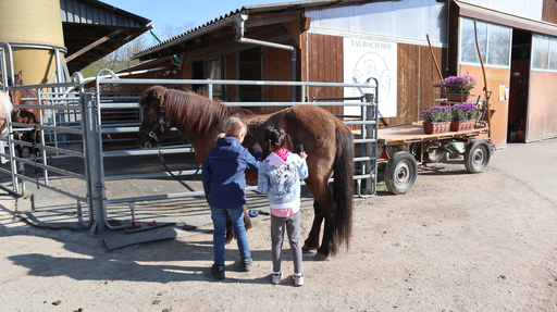 Reiten wie die Indianer SA