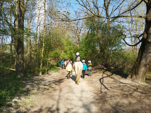 Reiten wie die Indianer MI