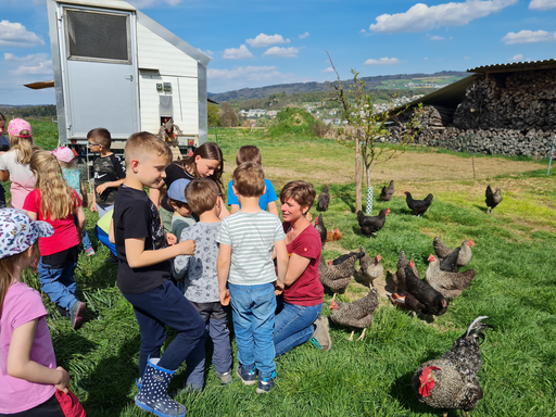 Zu Besuch auf dem Nüeltschehof