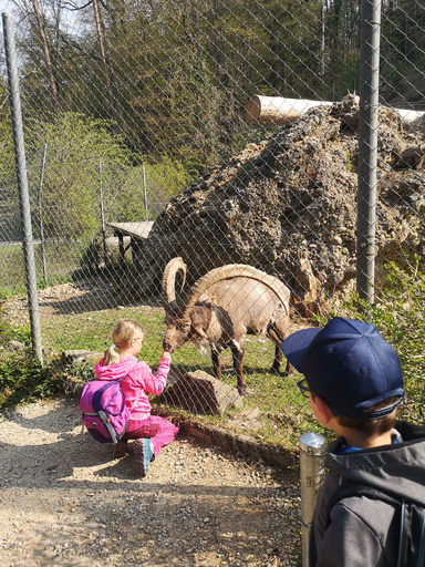 Tierpark Roggenhausen