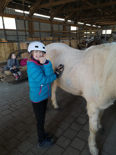 Reiten wie die Indianer MI