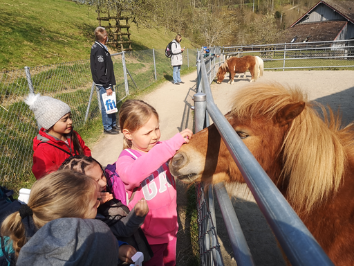 Tierpark Roggenhausen