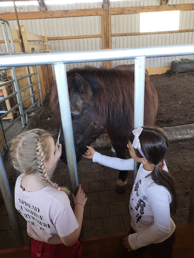 Reiten wie die Indianer MI