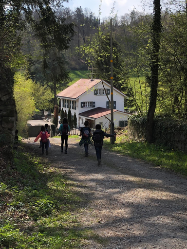 Abenteuer im Steinbruch