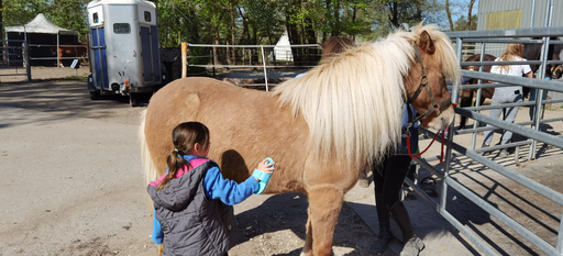 Reiten wie die Indianer DI