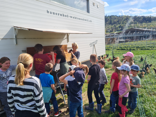 Zu Besuch auf dem Nüeltschehof