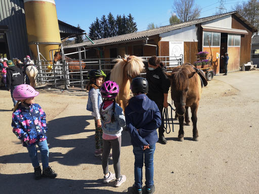 Reiten wie die Indianer SA