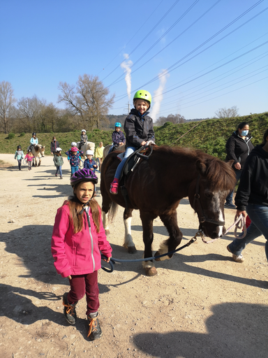 Reiten wie die Indianer MI