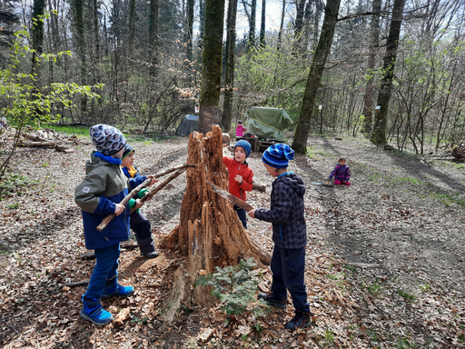 Wild Wald Wunderbar