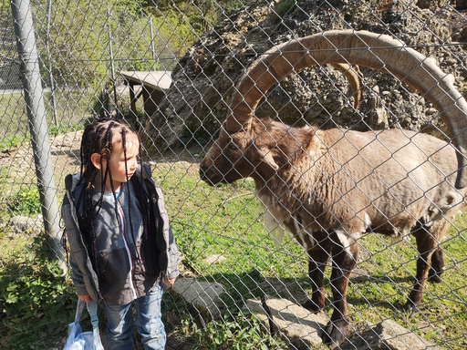 Tierpark Roggenhausen