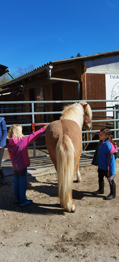 Reiten wie die Indianer DI