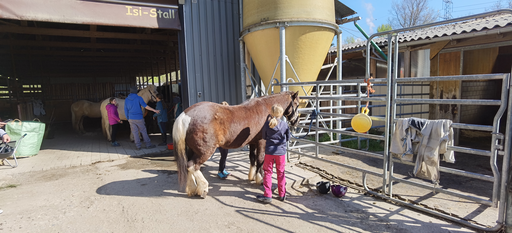 Reiten wie die Indianer DI