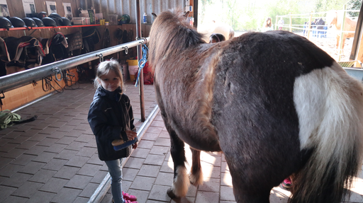 Reiten wie die Indianer MI