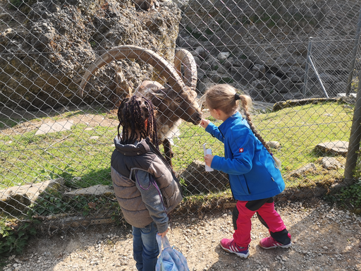 Tierpark Roggenhausen