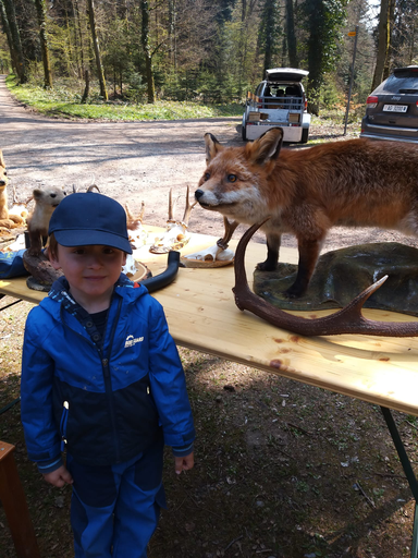 Im Wald beim Jäger