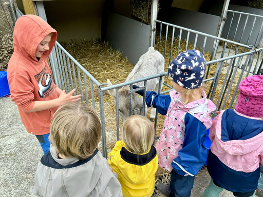 Besuch auf dem Nüeltschehof