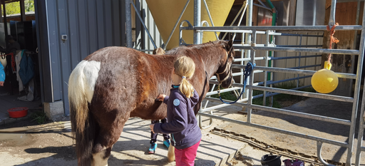 Reiten wie die Indianer DI