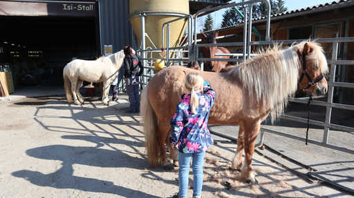 Reiten wie die Indianer SA