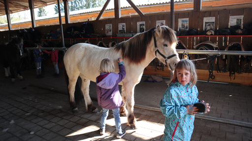 Reiten wie die Indianer SA