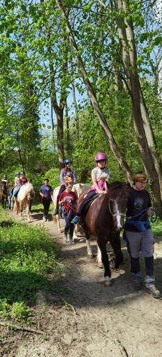 Reiten wie die Indianer DI