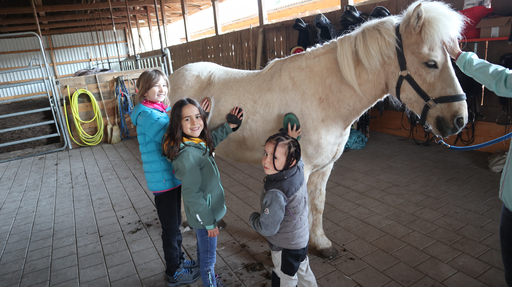 Reiten wie die Indianer MI