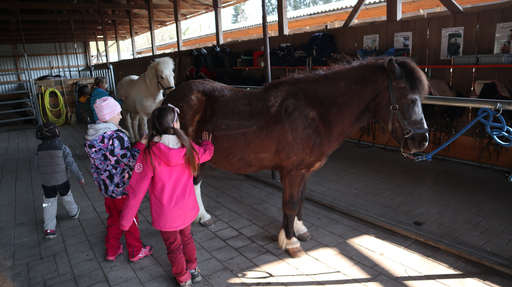 Reiten wie die Indianer MI